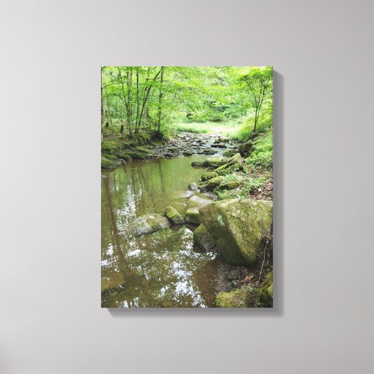 Misty Forest Canvas Wall Art | Serene Nature Afdruk (Voorkant)
