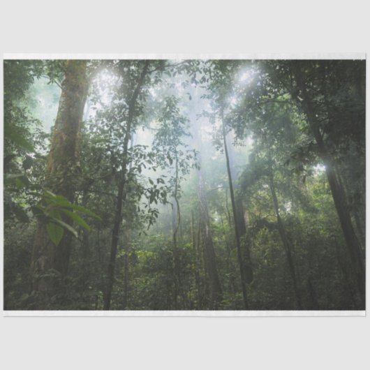 Misty Forest Decoupage Tissuepapier (Voorkant)