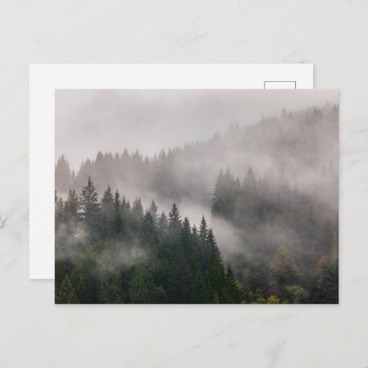 Misty Forest in de bergen Briefkaart (Voorkant / Achterkant)
