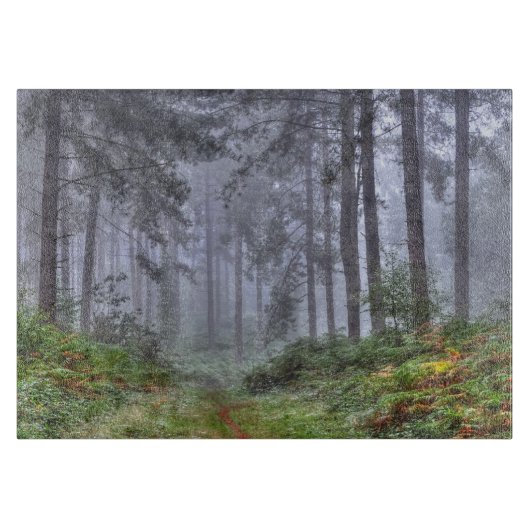 Misty Forest op Ashley Heath, Hampshire, Engeland Snijplank (Voorkant)