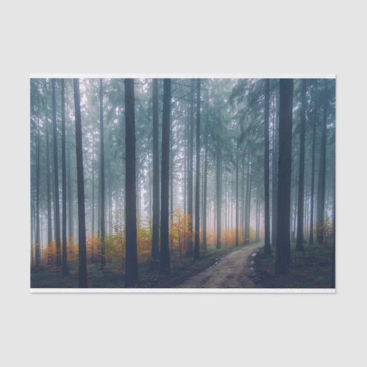 Misty Forest Path Decoupage Tissuepapier (Voorkant)