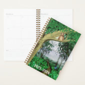 Misty Forest Path Planner (Display)
