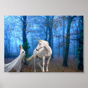 Misty Forest Poster