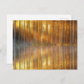 Misty Forest Scene Briefkaart (Voorkant / Achterkant)