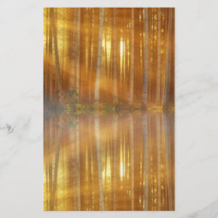 Misty Forest Scene Briefpapier