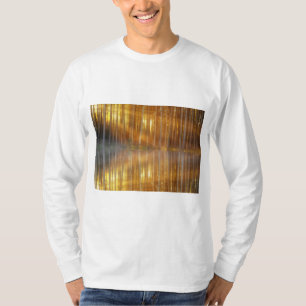 Misty Forest Scene T-shirt