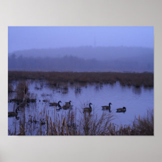 Misty Marsh Photography Poster