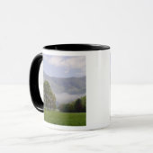 Misty meadow en Rich Mountain, Cades Cove, Mok (Voorkant links)