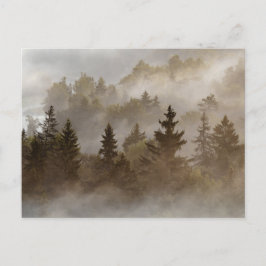 Misty morning at the valley briefkaart