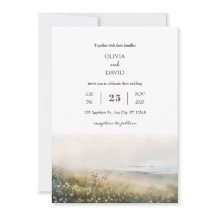 Misty Morning Coastal Meadow Uitzicht Beach Bruilo