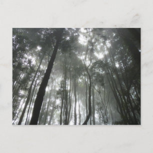 Misty Mountains briefkaart