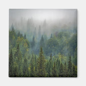 Misty pine trees forest landschap magneet (Voorkant)