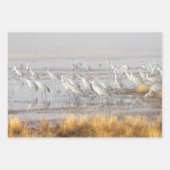 Misty Sandhill Cranes Inpakpapier Vel (Voorkant)