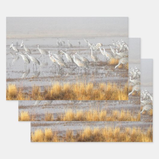 Misty Sandhill Cranes Inpakpapier Vel (Set)