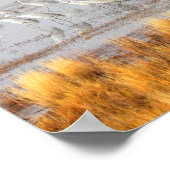 Misty Sandhill Cranes Poster (Hoek)