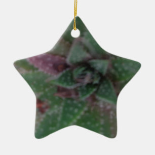 Misty Succulent, Green Paars, Natuur, Flora Plant Keramisch Ornament