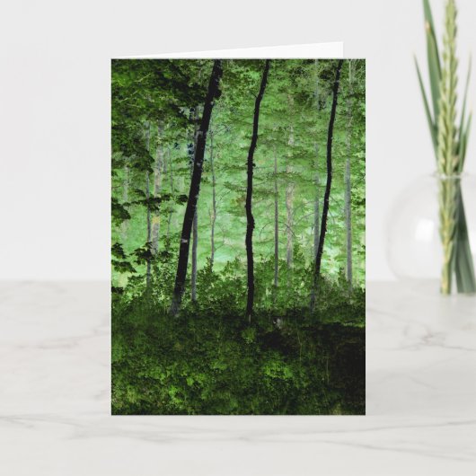 Misty Trees: Adirondack Forest Scene Veranderde Fo Kaart (Voorkant)