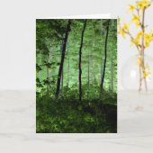 Misty Trees: Adirondack Forest Scene Veranderde Fo Kaart (Gele Bloem)