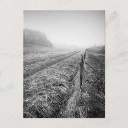 Misty Wiltshire Field briefkaart (Voorkant)