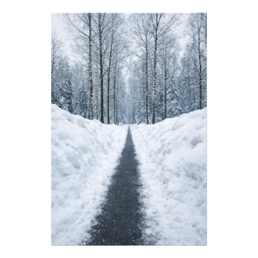Misty Winter Forest Path Winter Landscape Poster (Devant)