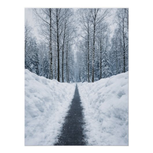 Misty Winter Forest Path Winter Landscape Poster (Devant)