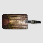 Misty Woodland Path Bagagelabel (Voorkant (horizontaal))