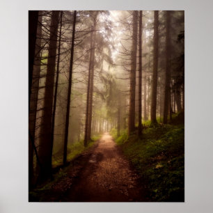 Misty Woodland Path Poster