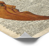 Mistycal Miedieval Moon Face  Illustratie Poster (Hoek)