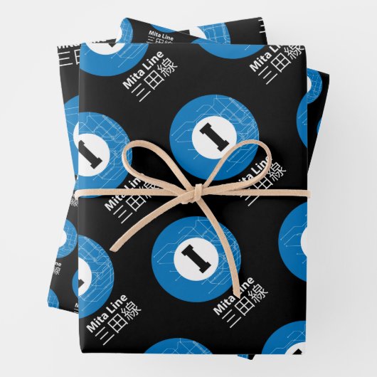 MITA SUBWAY LINE 三 田 線 INPAKPAPIER VEL (In situ)