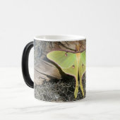 Mite de Luna sur une tasse Morphing (Devant gauche)