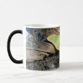 Mite de Luna sur une tasse Morphing (Gauche)