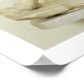 Mithras offert de Bull op, marmer relief, Roman Poster (Hoek)