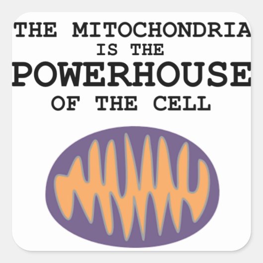 Mitochondria is de krachtpatser - Sticker (Voorkant)
