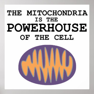 Mitochondria is het Powerhouse-Poster Poster