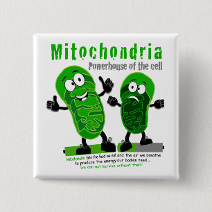 Mitochondria Powerhouse of the Cell Vierkante Button 5,1 Cm