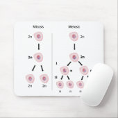 Mitose versus meiosis mousepad muismat (Met muis)