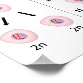 Mitose versus meiosis Poster (Hoek)