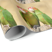 Mitred Paraket op houtenpost Briefkaart Square Sti Cadeaupapier (Rol Hoek)