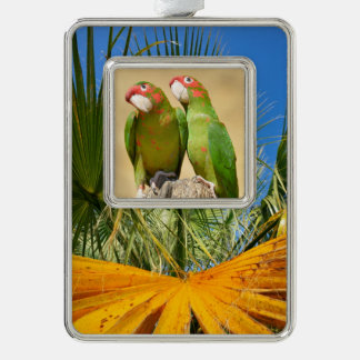 Mitred Paraket op houtenpost Briefkaart Square Sti Verzilverd Kader Ornament