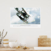 Mitsubishi F1M Poster (Keuken)