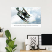 Mitsubishi F1M Poster (Thuiskantoor)