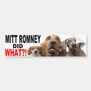 MITT ROMNEY HEEFT WAT GEDAAN! Dog on Roof BUMPERST Bumpersticker