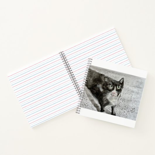 Mittens le chaton sur un journal (Intérieur)