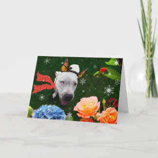 Mitzy la Mariposa, Carte de voeux de vacances