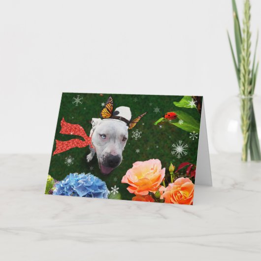 Mitzy la Mariposa, Carte de voeux de vacances (Devant)