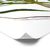 Mix Flora 601 imprimer 1 affiche d'art botanique V (Coin)