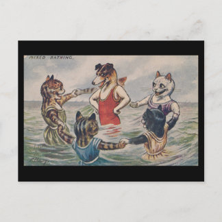 Mixed Bathing - Dog and Cats Postcard Briefkaart