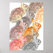 Mixed Bunny Poster Poster (Devant)
