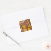 Mixed Media Bird met Pet Vierkante Sticker (Envelop)
