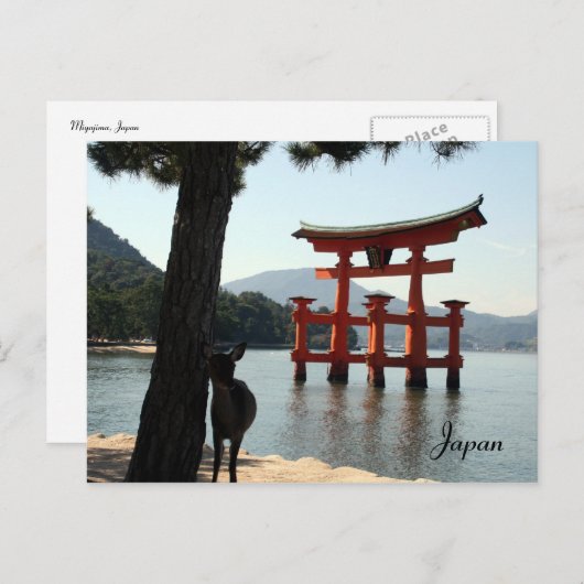 miyajima hert briefkaart (Voorkant / Achterkant)
